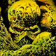 Image for article titled DC is growing a live-action Swamp Thing series for its upcoming streaming service